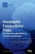 Neutrophil Extracellular Traps - Bild 1