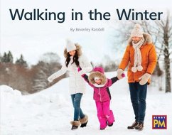 Walking in the Winter