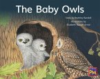 The Baby Owls