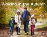 Walking in the Autumn