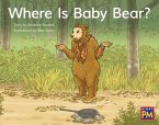 Where Is Baby Bear?