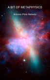A bit of metaphysics (eBook, ePUB)