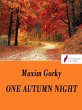 One autumn night (eBook, ePUB) - Bild 1