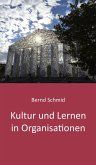 Kultur und Lernen in Organisationen (eBook, ePUB)