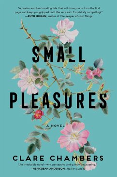 Small Pleasures (eBook, ePUB) - Chambers, Clare