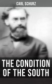 The Condition of the South (eBook, ePUB)