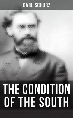 The Condition of the South (eBook, ePUB) Cover The Condition of the South (eBook, ePUB)