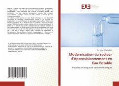 Modernisation du secteur d¿Approvisionnement en Eau Potable - Mayeul Ayelabola, Karl