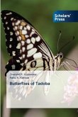 Butterflies of Tadoba