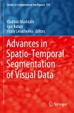 Advances in Spatio-Temporal Segmentation of Visual Data