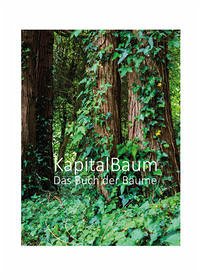 Kapital Baum