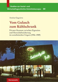 Vom Gulasch zum Kühlschrank (eBook, PDF) - Gagyiova, Annina