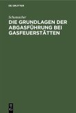 Die Grundlagen der Abgasführung bei Gasfeuerstätten (eBook, PDF)