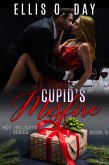 Cupid's Misfire (Hot Holidays, #3) (eBook, ePUB)