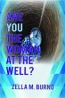Are You the Woman at the Well? (eBook,... - Bild 1