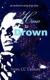 How to Drown (eBook, ePUB)