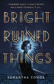 Bright Ruined Things (eBook, ePUB)