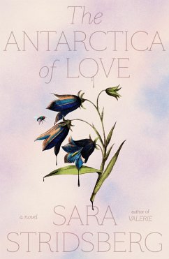 The Antarctica of Love (eBook, ePUB) - Stridsberg, Sara