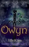 Owyn (hidden journals, #4) (eBook, ePUB)
