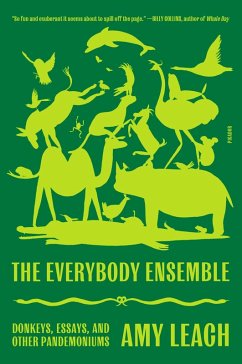 The Everybody Ensemble (eBook, ePUB) - Leach, Amy