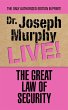 The Great Law of Security (eBook, ePUB) - Bild 1