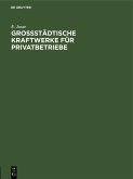 Grossstädtische Kraftwerke für Privatbetriebe (eBook, PDF)