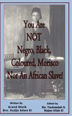 Cover You Are NOT Negro, Black, Coloured, Morisco Nor An African Slave! (eBook, ePUB)