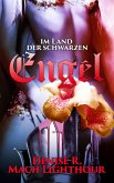 Im Land der schwarzen Engel (eBook, ePUB)