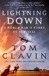 Lightning Down (eBook, ePUB) - Bild 1