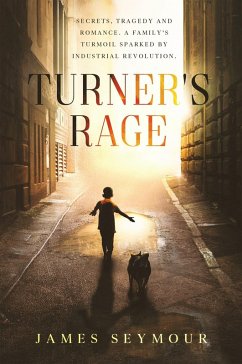 Turner's Rage (eBook, ePUB) - Seymour, James