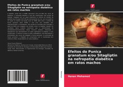 Efeitos do Punica granatum e/ou Sitagliptin na nefropatia diabética em ratos machos - Mohamed, Hanan