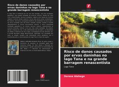 Cover Risco de danos causados por ervas daninhas no lago Tana e na grande barragem renascentista