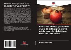 Effets de Punica granatum et/ou de Sitagliptin sur la néphropathie diabétique chez les rats mâles - Mohamed, Hanan