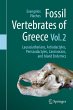 Fossil Vertebrates of Greece Vol. 2 - Bild 1
