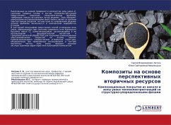 Kompozity na osnowe perspektiwnyh wtorichnyh resursow - Hitrin, Sergej Vladimirowich;Mihalicyna, Juliq Sajtzhanowna