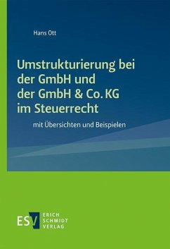 Umstrukturierung bei der GmbH und der GmbH & Co. KG im Steuerrecht - Ott, Hans