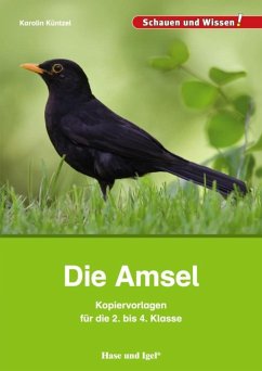 Die Amsel - Kopiervorlagen für die 2. bis 4. Klasse - Küntzel, Karolin