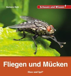 Fliegen und Mücken - Rath, Barbara