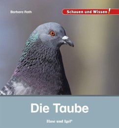 Die Taube - Rath, Barbara