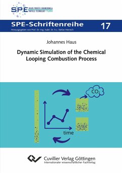 Dynamic Simulation of the Chemical Looping Combustion Process - Haus, Johannes