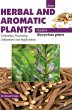 HERBAL AND AROMATIC PLANTS -... - Bild 1