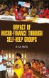 IMPACT OF MICRO-FINANCE THROUGH... - Bild 1
