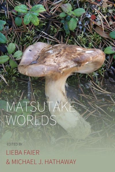 Matsutake Worlds Matsutake Worlds