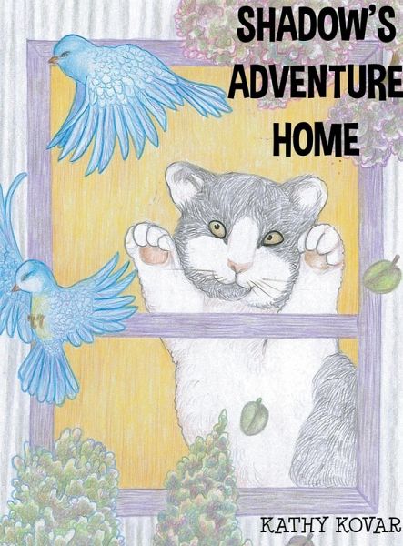 Shadow's Adventure Home Shadow's Adventure Home