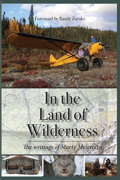 In the Land of Wilderness - Meierotto, Marty