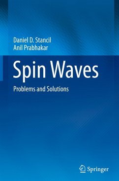 Spin Waves - Stancil, Daniel D.;Prabhakar, Anil