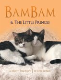 Bambam & the Little Princes
