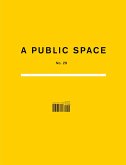 A Public Space No. 29 (eBook, ePUB)