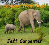 Lessons From Papa (eBook, ePUB)