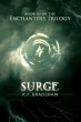 Surge (eBook, ePUB) - Bild 1
